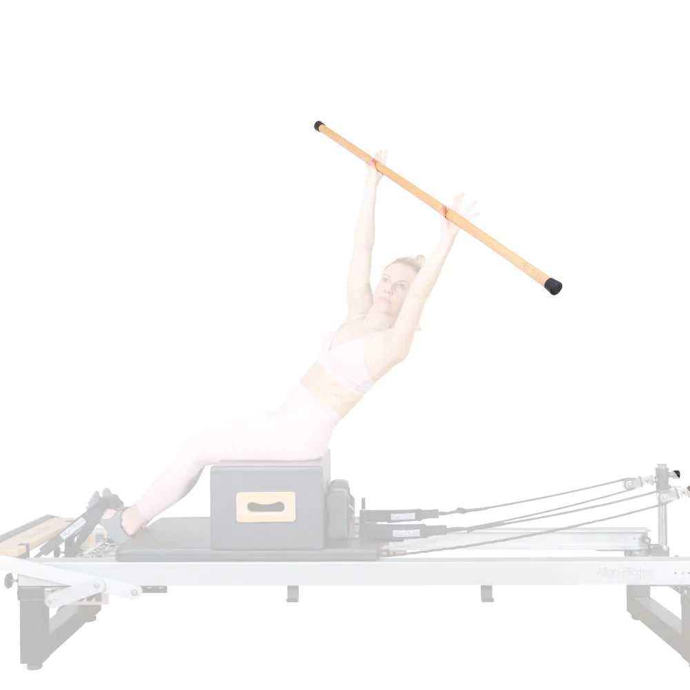 Align-Pilates Gondola Pole